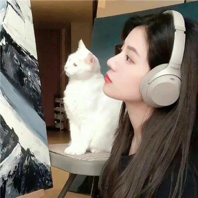 惹不起的宫主大人